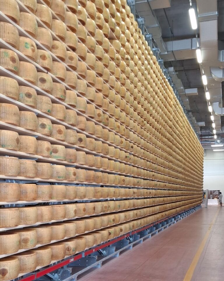 Il nuovo magazzino per la stagionatura del Parmigiano Reggiano nell'ampliamento dei Magazzini Generali delle Tagliate a Montecavolo